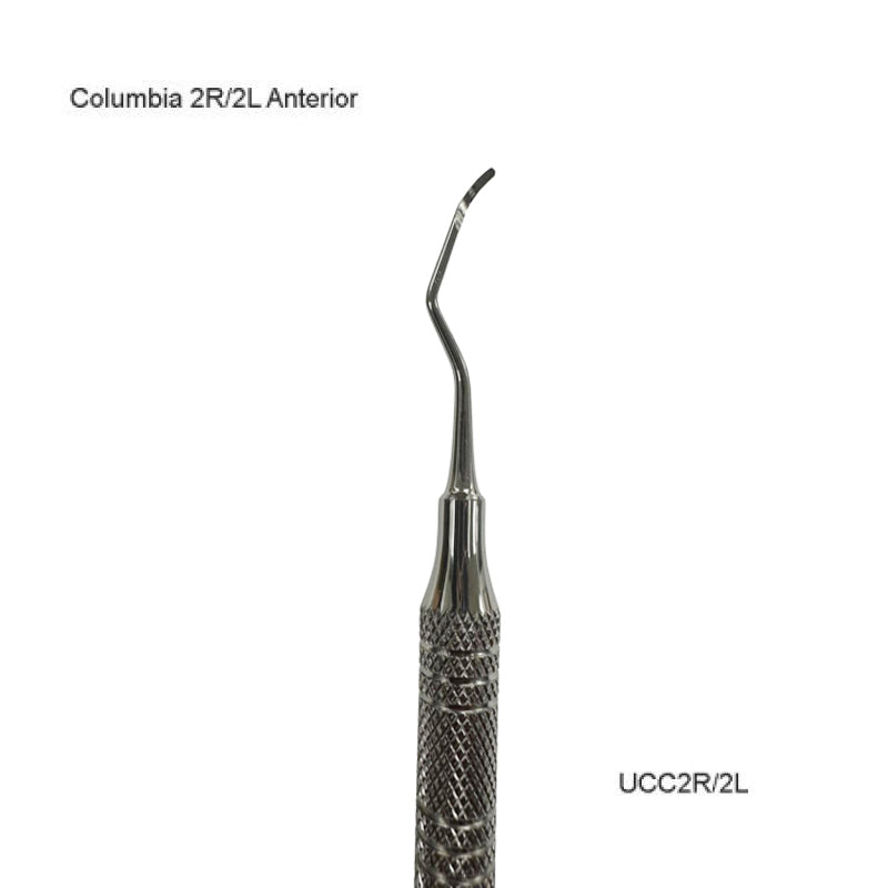Columbia 2R/2L Anterior
