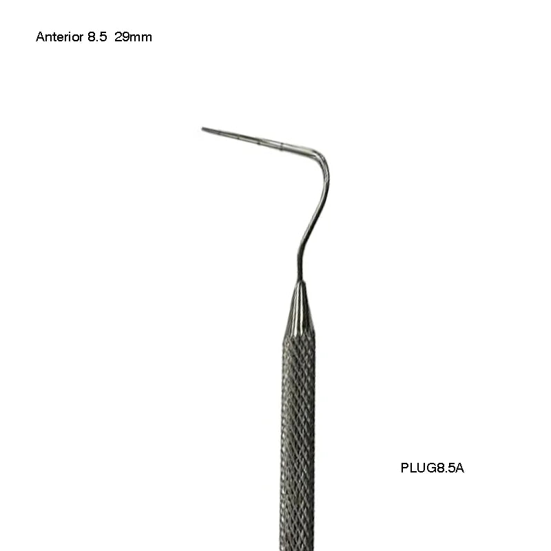 Anterior 8.5 (29mm)