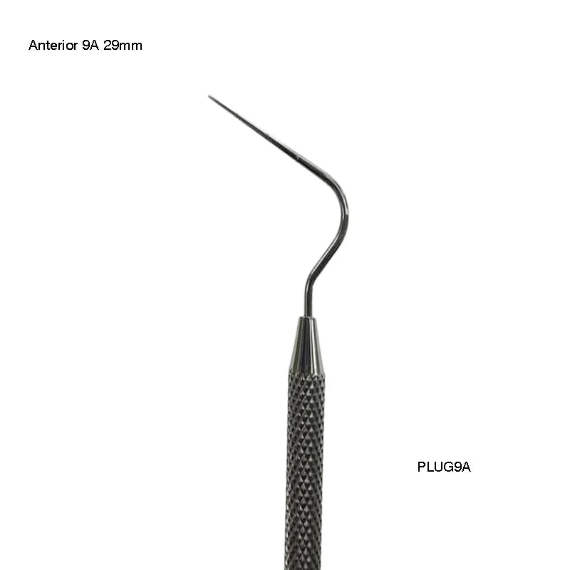 Anterior 9 (29mm)