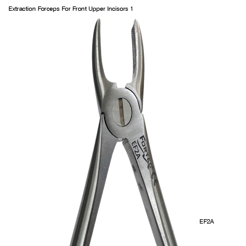 Extraction Forceps For Front Upper Incisors 1