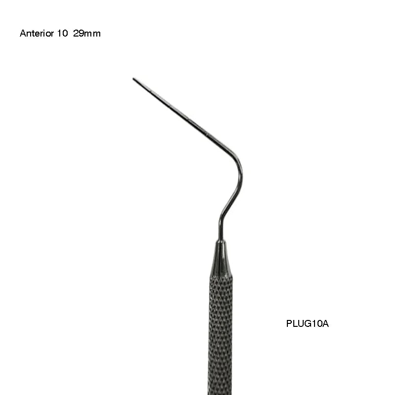 Anterior 10 (29mm)