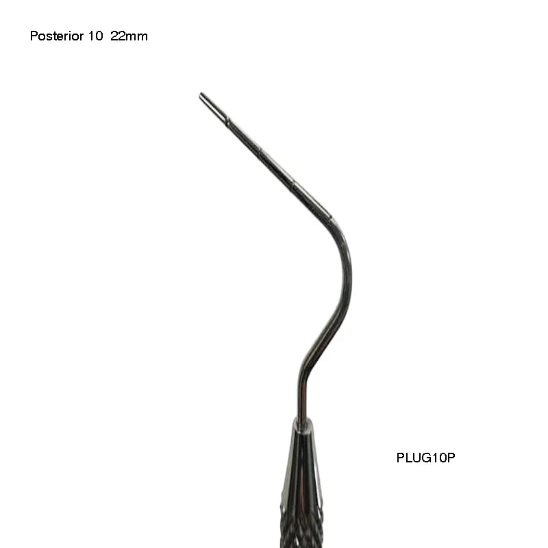 Posterior 10 (22mm)