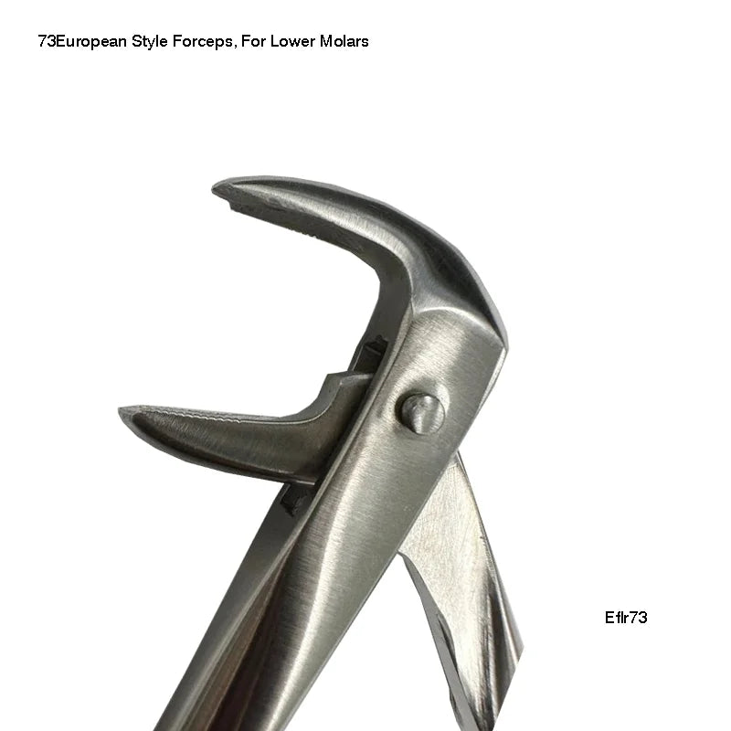 73 European Style Forceps, For Lower Molars