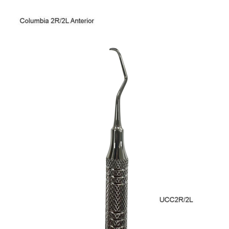 Columbia 2R/2L Anterior