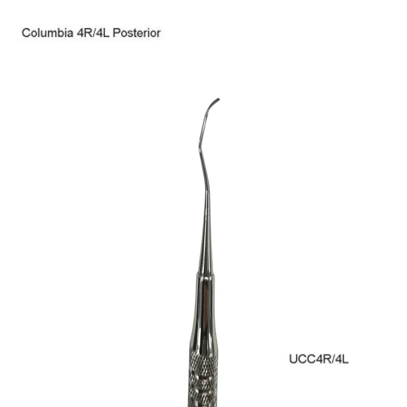 Columbia 4R/4L Posterior