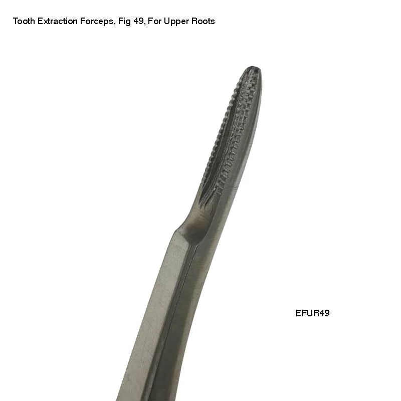 Extraction Forceps, 49 European Style Root Forceps Serrated, For Upper Roots