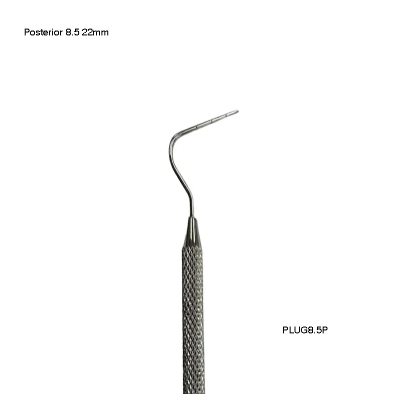 Posterior 8.5 (22mm)