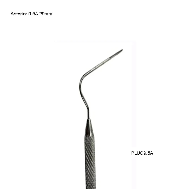 Anterior 9.5A (29mm)