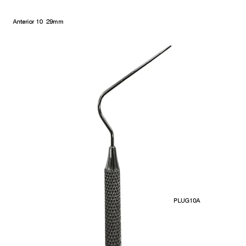 Anterior 10 (29mm)