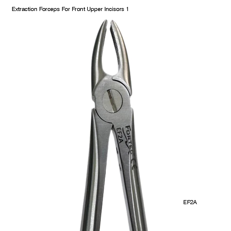 Extraction Forceps For Front Upper Incisors 1
