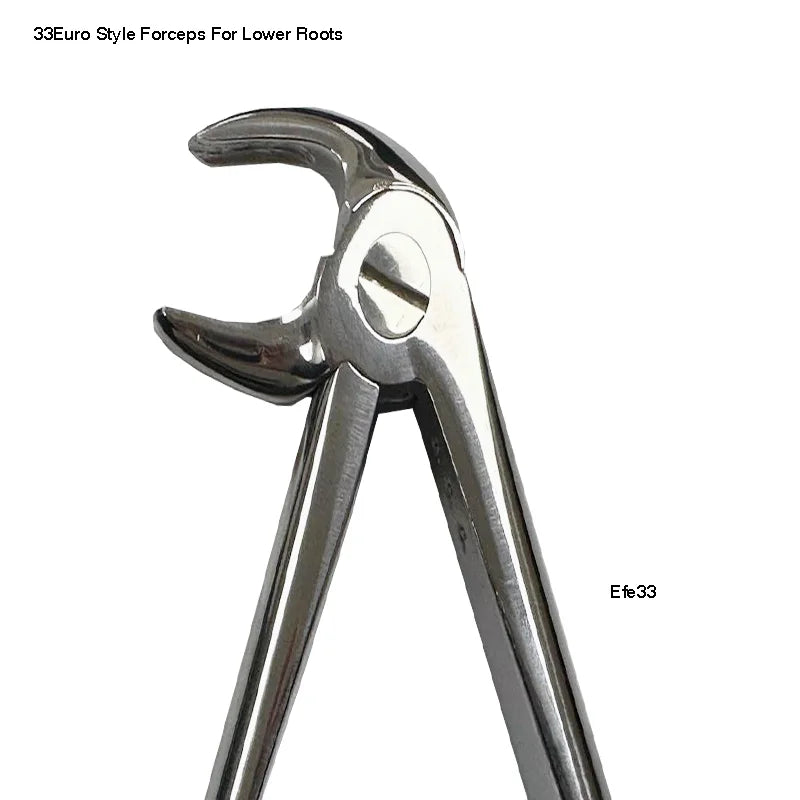 Extraction Forcep 33 EUROPEAN STYLE