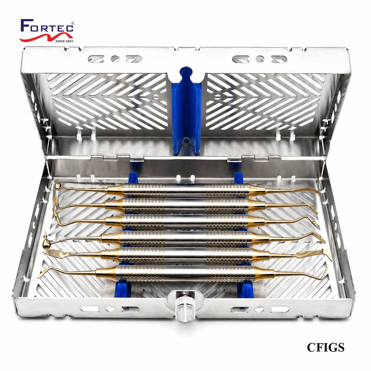 GOLDEN TIPSCOMPOSITE FILLING INSTRUMENT SET WITH CASSETTE - Fortec