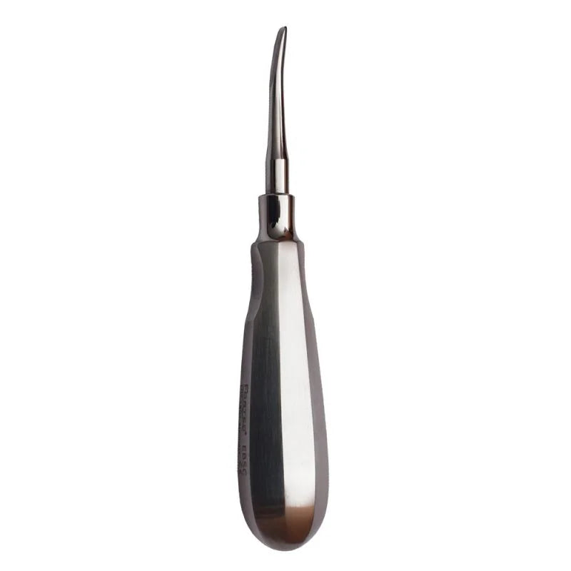 5mm Bein Root Elevator Curved