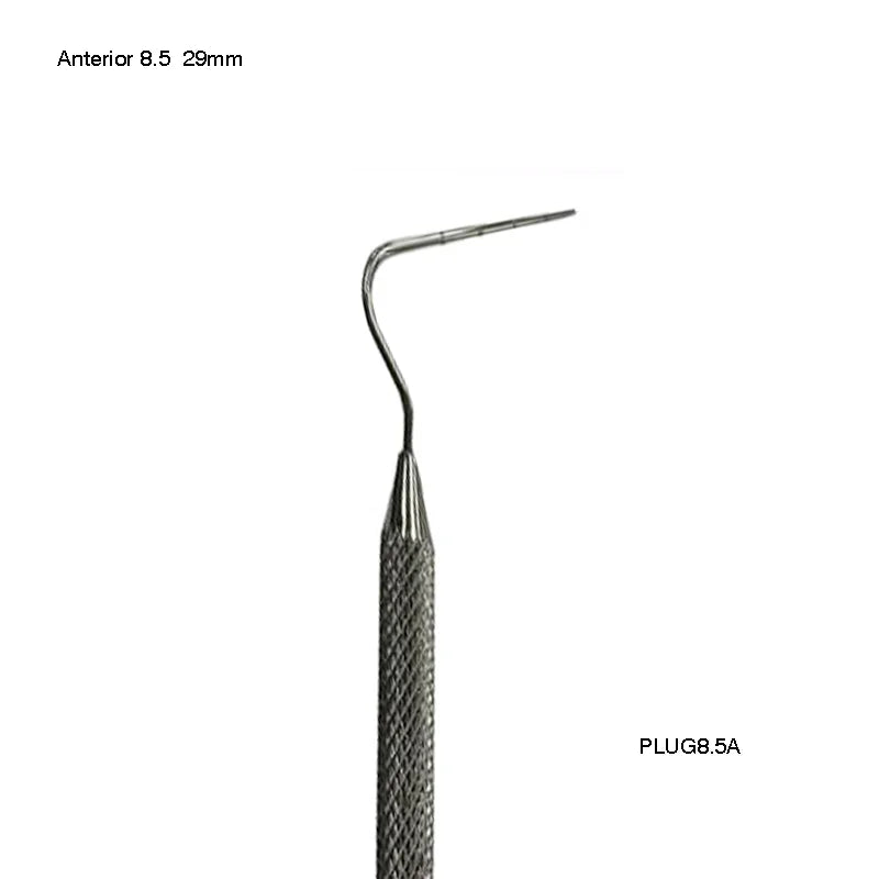 Anterior 8.5 (29mm)
