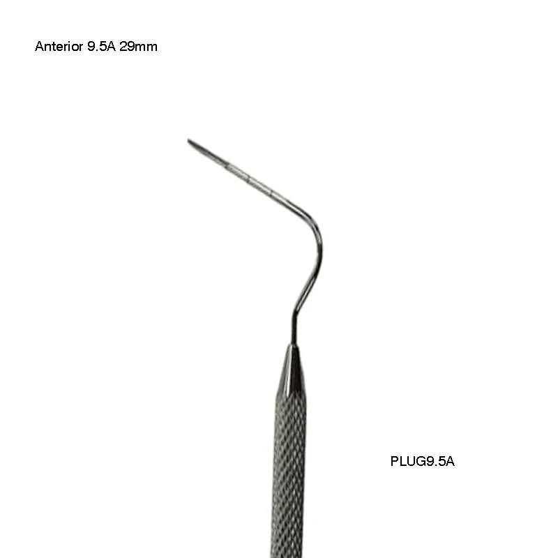 Anterior 9.5A (29mm)