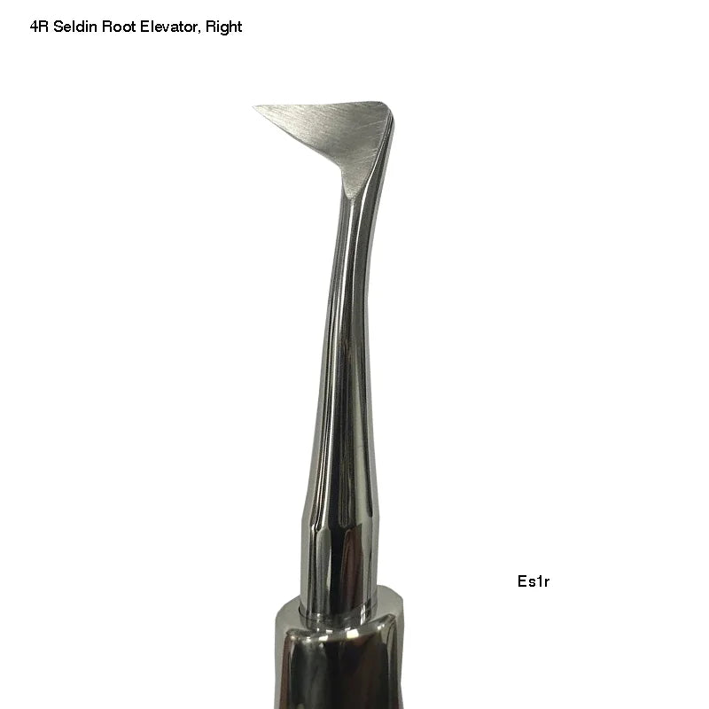Root Elevator, SELDIN, 4L Right