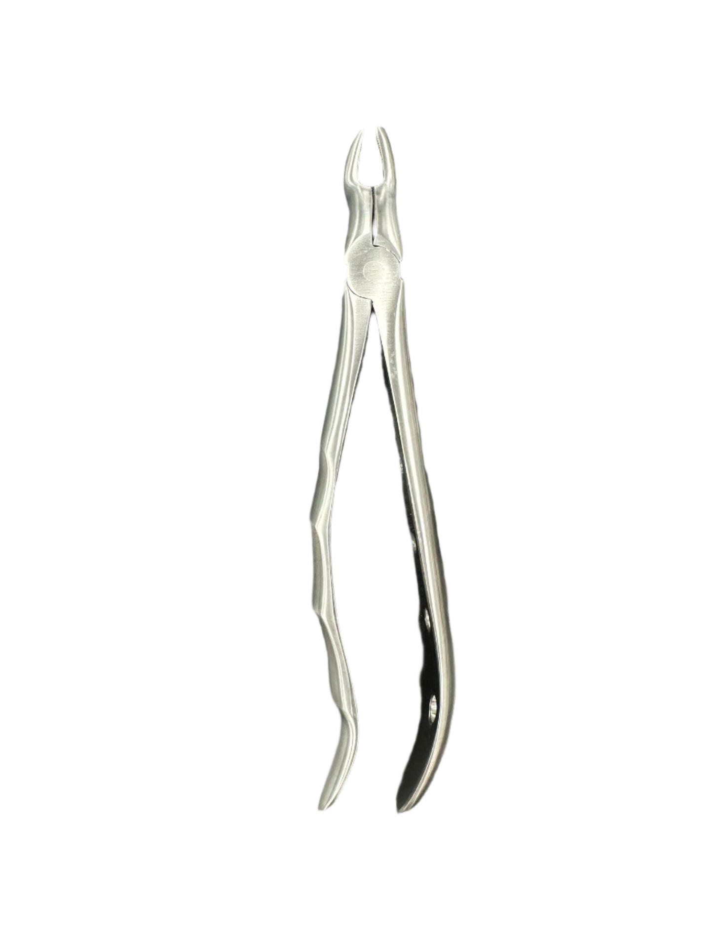 67A European Style Extraction Forceps - Fortec