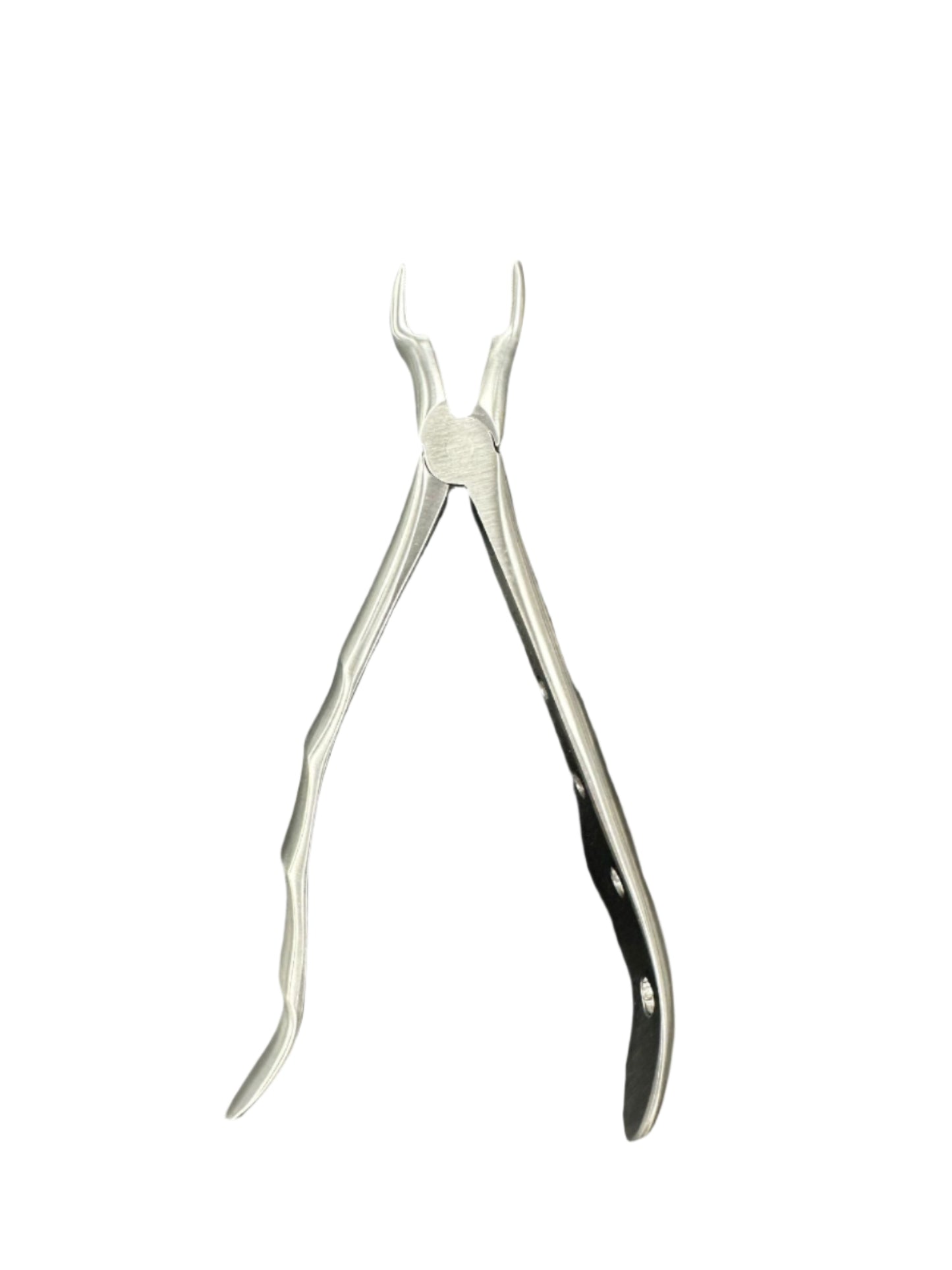 67A European Style Extraction Forceps - Fortec