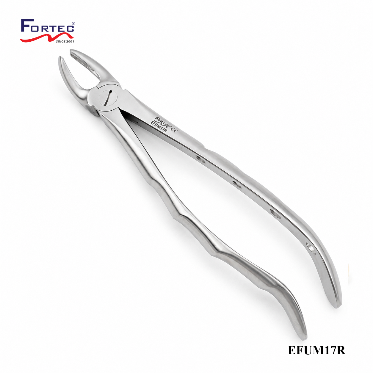 17 European Style Forceps For Upper Molars Right - Fortec