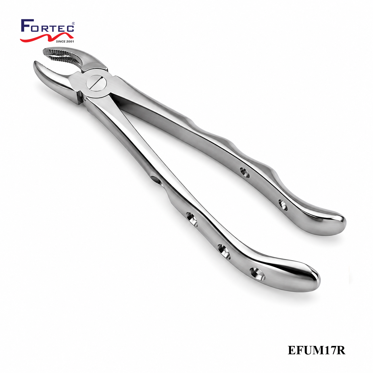 17 European Style Forceps For Upper Molars Right - Fortec