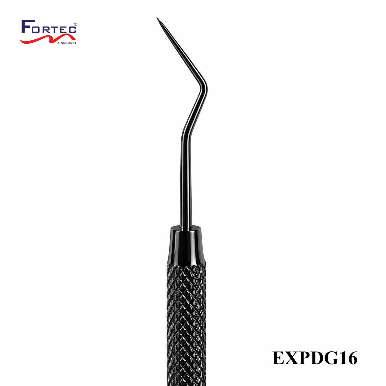 DG16 Explorer - Fortec 