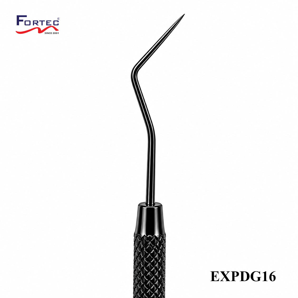 DG16 Explorer - Fortec 