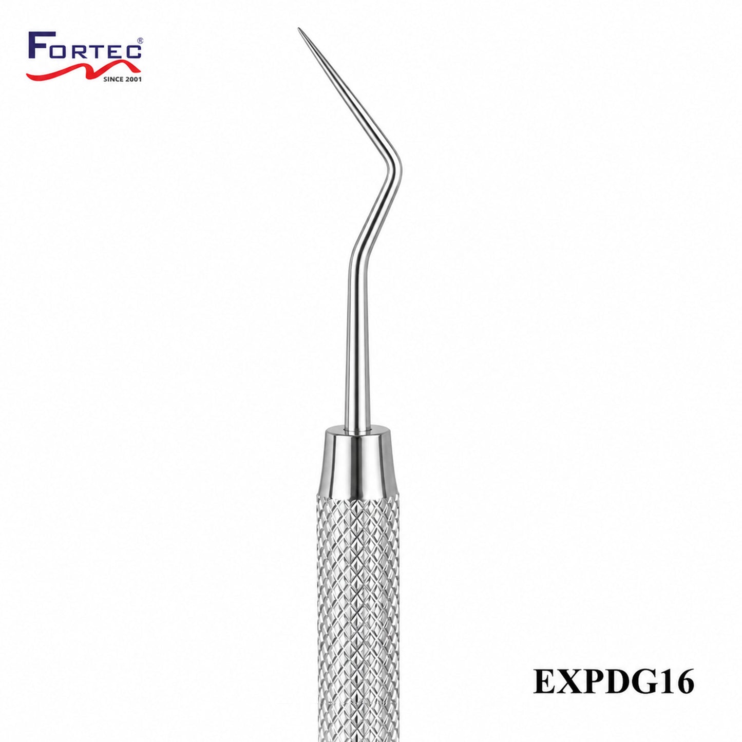 DG16 Explorer - Fortec 