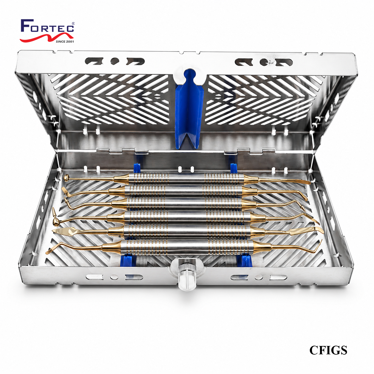 GOLDEN TIPSCOMPOSITE FILLING INSTRUMENT SET WITH CASSETTE - Fortec 