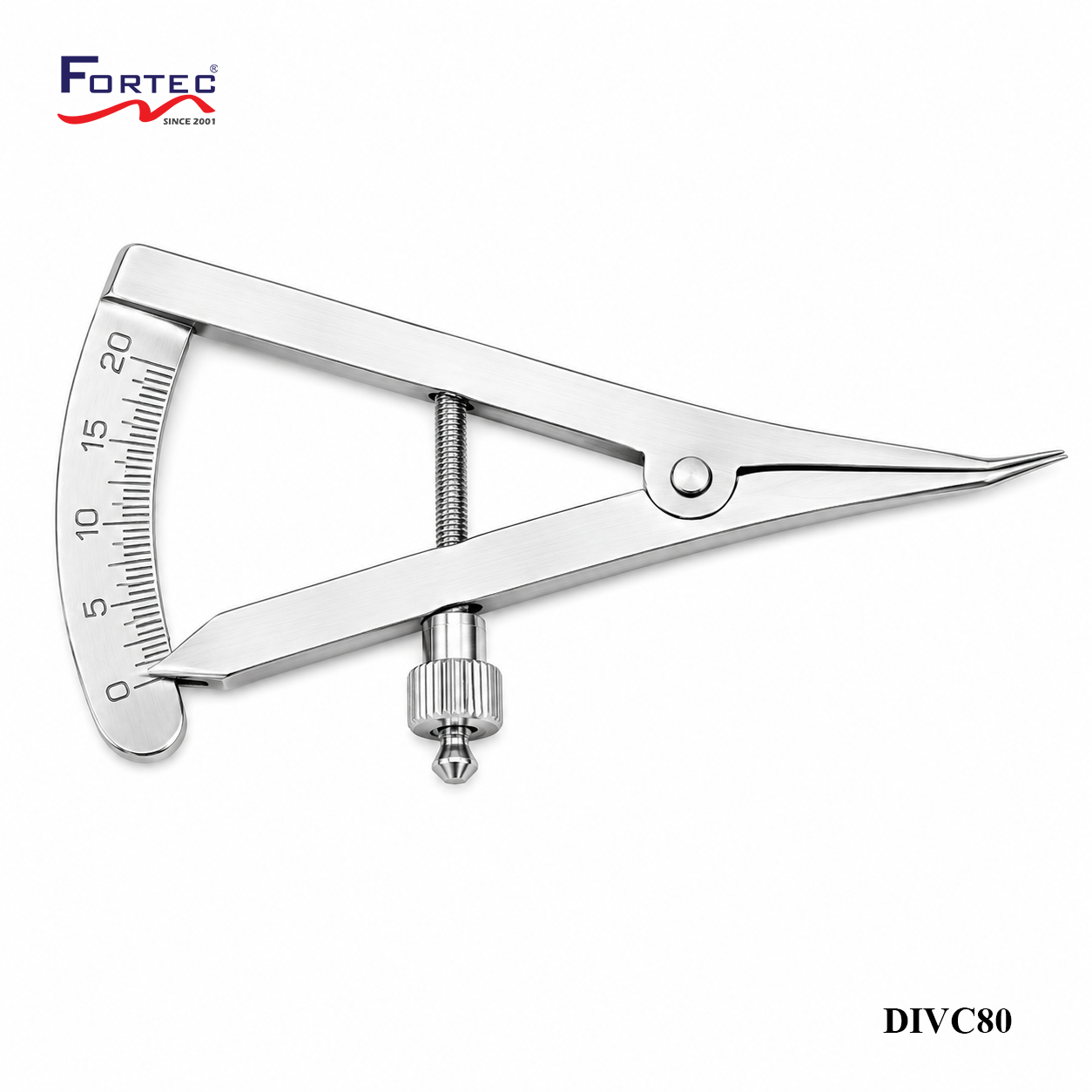 VERNIER CALIPER 0-80MM - Fortec 
