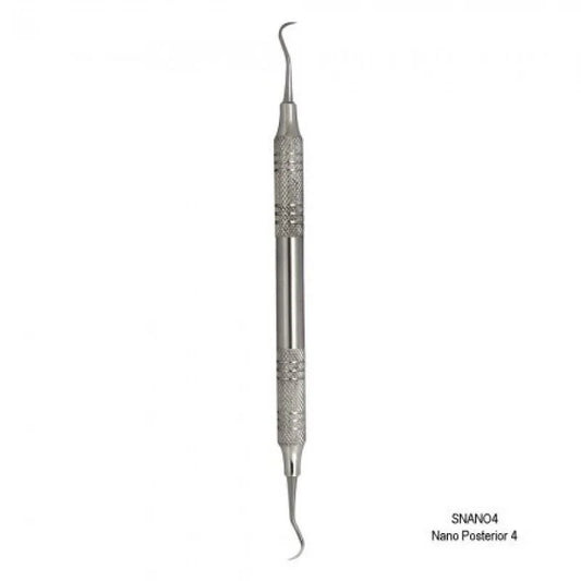 Nano 4 Posterior Scaler
