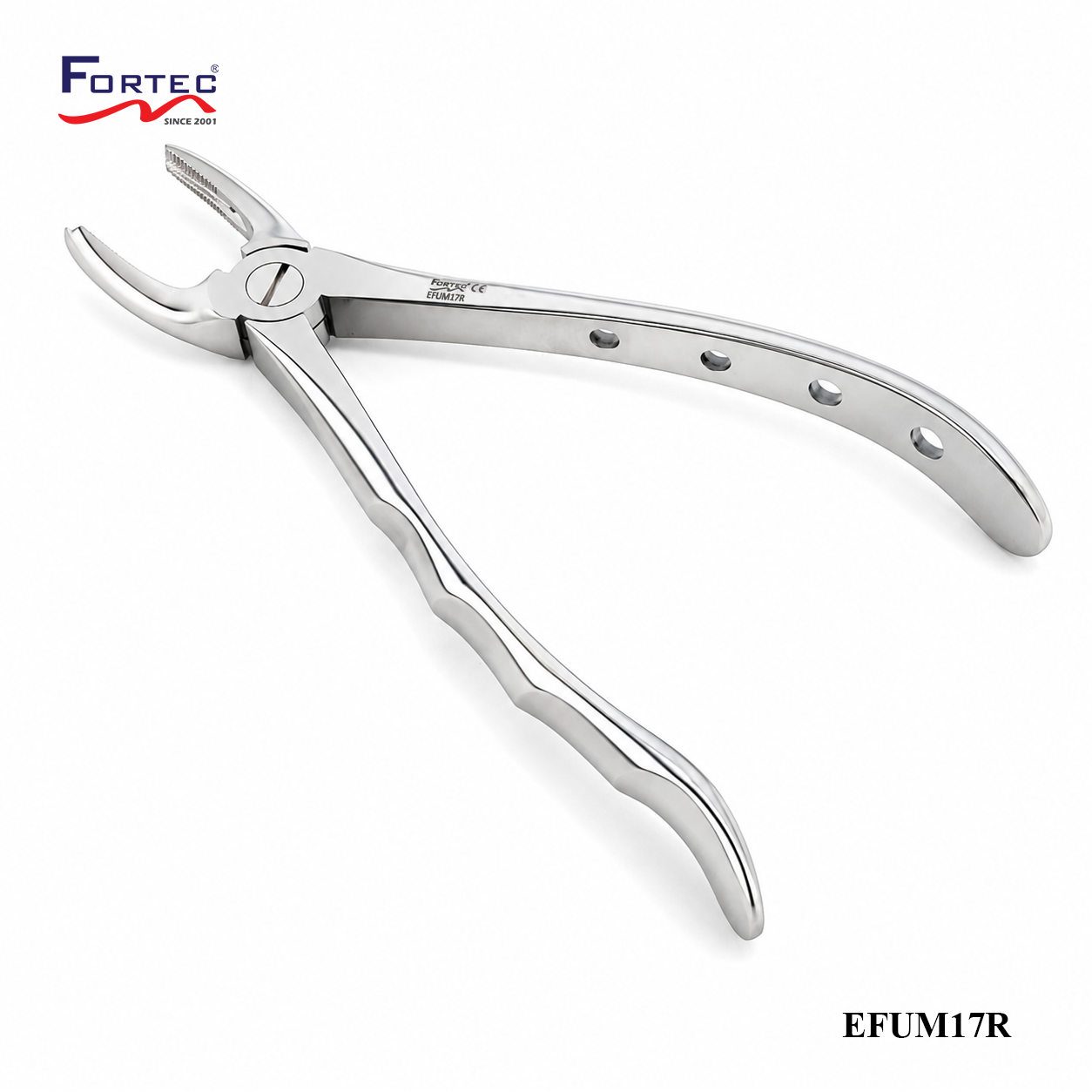 17 European Style Forceps For Upper Molars Right - Fortec 