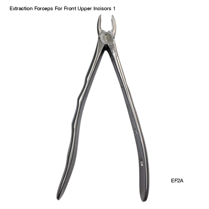 Extraction Forceps For Front Upper Incisors 1